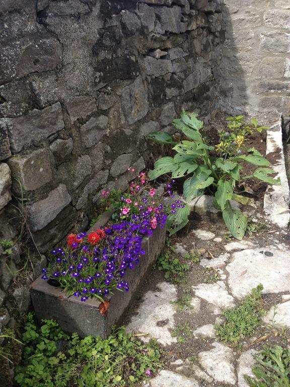 Curlew Barn Bed & Breakfast Leyburn Ngoại thất bức ảnh